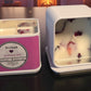 8 oz. Sandalwood & Rose Soy Candle